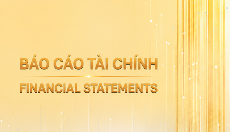 BÁO CÁO TÀI CHÍNH